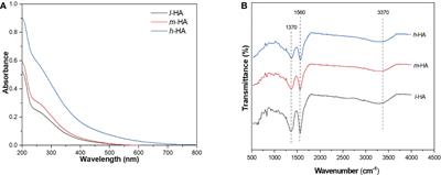 Influences of molecular weight fractionated humic acids on polyamide 66 microplastic stability and toxicity in red tilapia (Oreochromis niloticus)